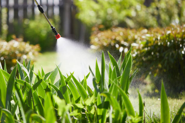 24/7 Emergency Wasp Removal experts in Big Bend, WI